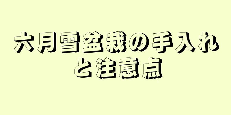 六月雪盆栽の手入れと注意点