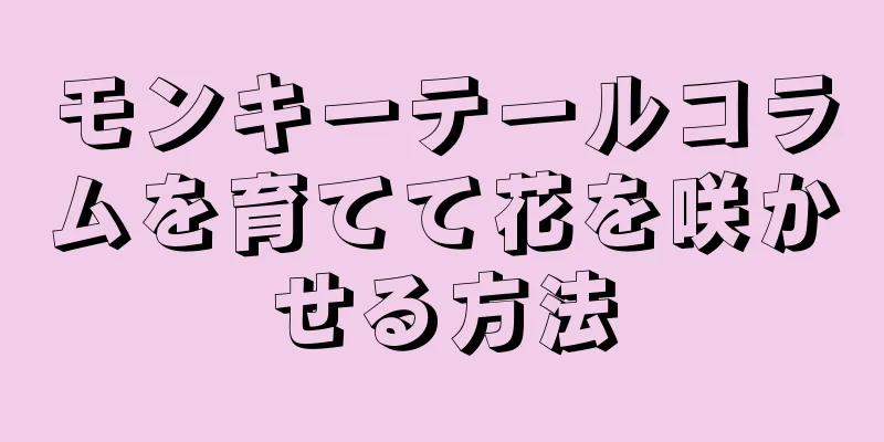 モンキーテールコラムを育てて花を咲かせる方法