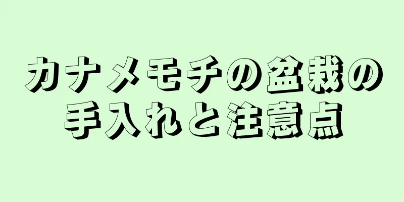 カナメモチの盆栽の手入れと注意点