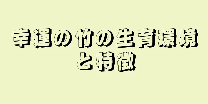 幸運の竹の生育環境と特徴