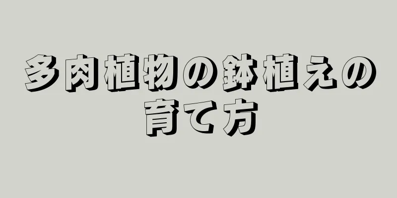 多肉植物の鉢植えの育て方