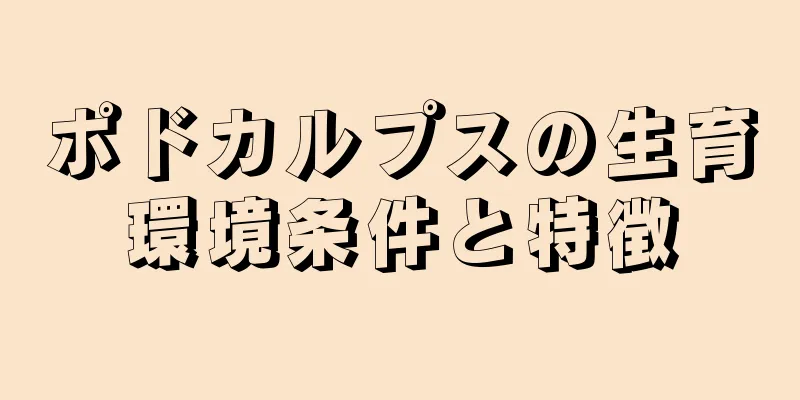 ポドカルプスの生育環境条件と特徴