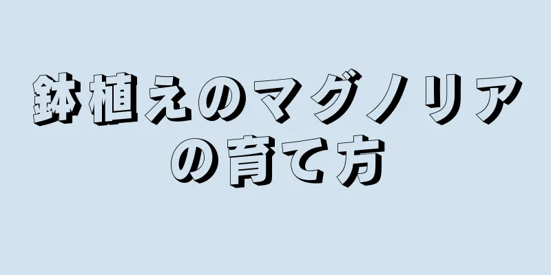 鉢植えのマグノリアの育て方