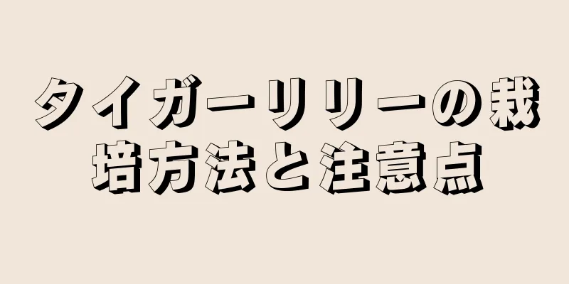 タイガーリリーの栽培方法と注意点