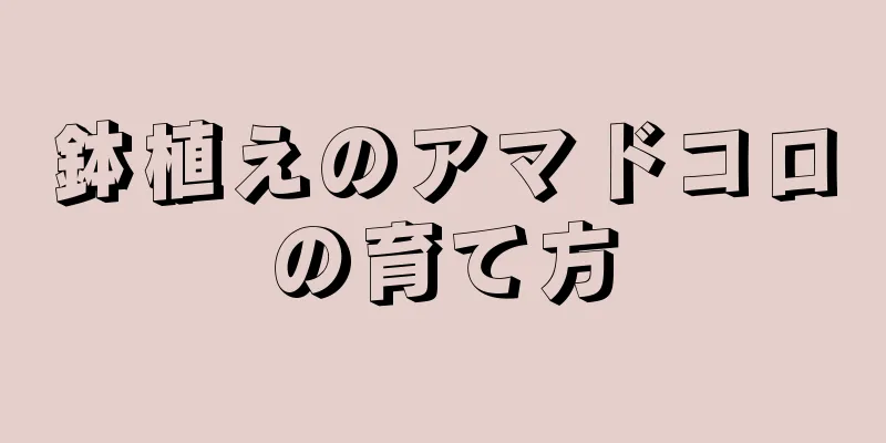 鉢植えのアマドコロの育て方