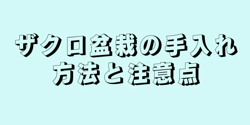 ザクロ盆栽の手入れ方法と注意点