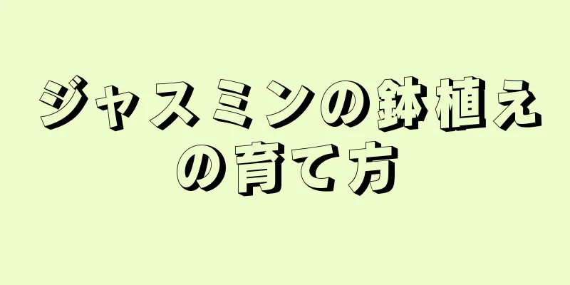 ジャスミンの鉢植えの育て方