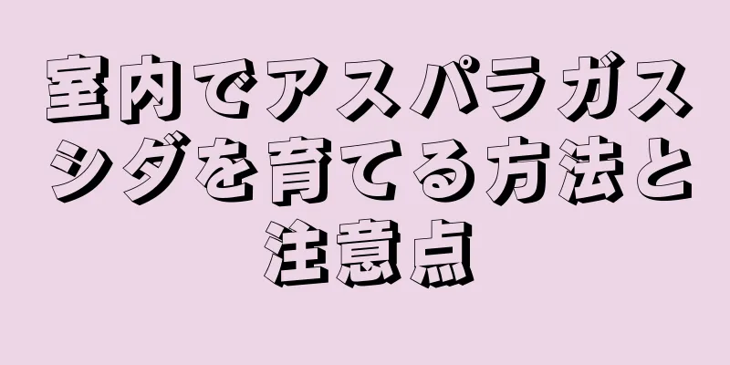 室内でアスパラガスシダを育てる方法と注意点
