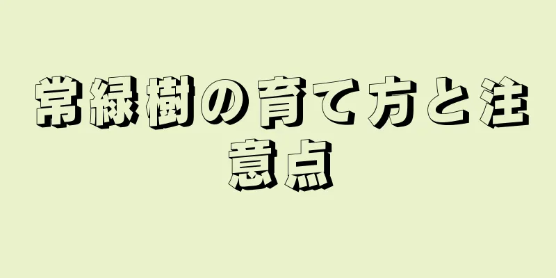 常緑樹の育て方と注意点