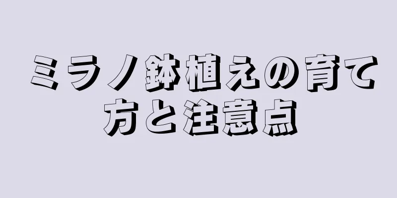 ミラノ鉢植えの育て方と注意点