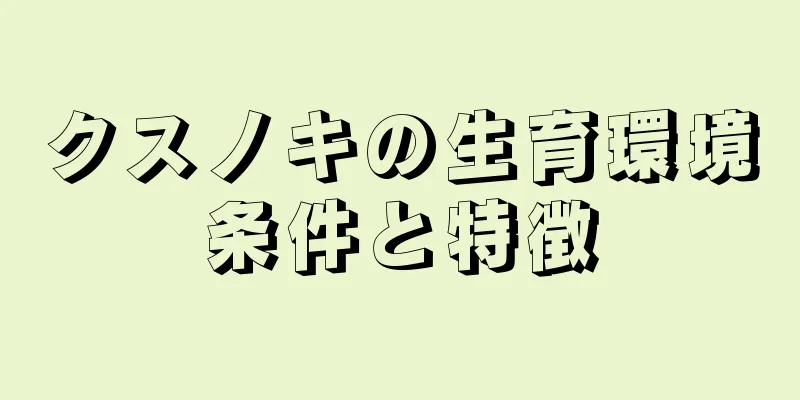 クスノキの生育環境条件と特徴