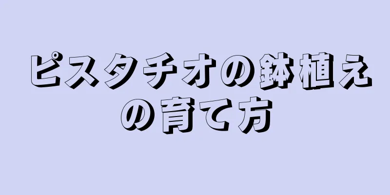 ピスタチオの鉢植えの育て方