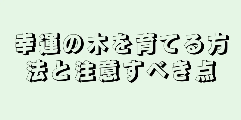 幸運の木を育てる方法と注意すべき点