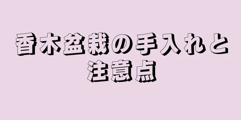 香木盆栽の手入れと注意点