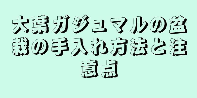 大葉ガジュマルの盆栽の手入れ方法と注意点