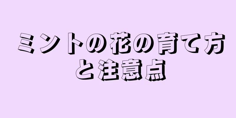 ミントの花の育て方と注意点
