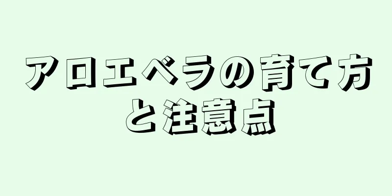 アロエベラの育て方と注意点