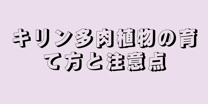 キリン多肉植物の育て方と注意点