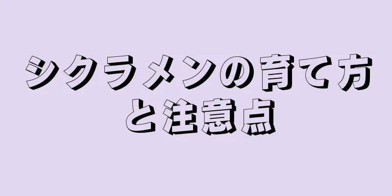 シクラメンの育て方と注意点