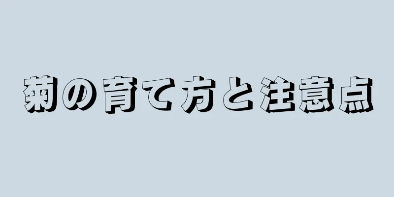 菊の育て方と注意点