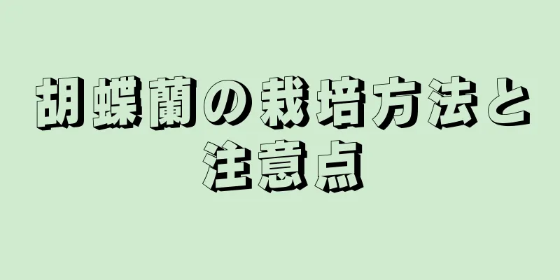 胡蝶蘭の栽培方法と注意点