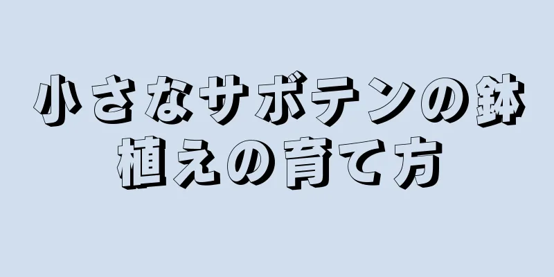 小さなサボテンの鉢植えの育て方