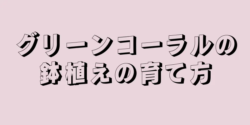 グリーンコーラルの鉢植えの育て方