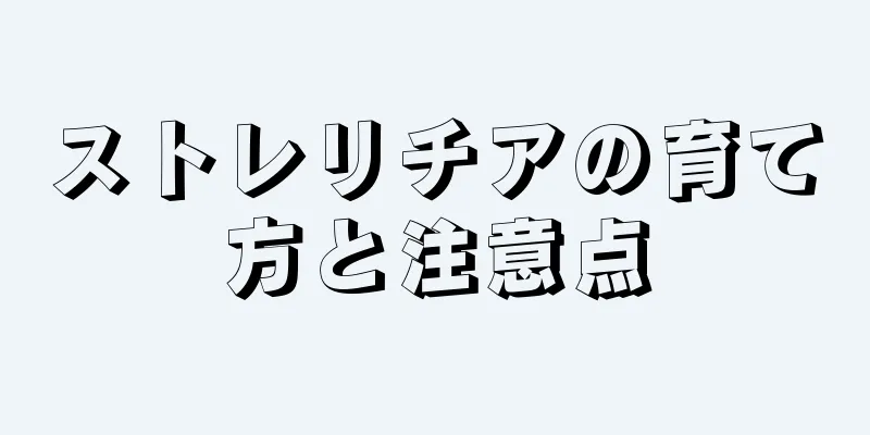 ストレリチアの育て方と注意点