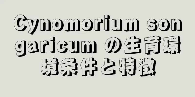 Cynomorium songaricum の生育環境条件と特徴