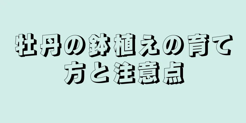牡丹の鉢植えの育て方と注意点