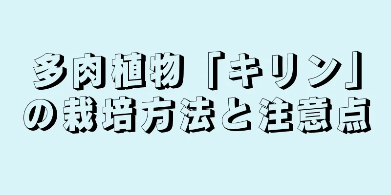 多肉植物「キリン」の栽培方法と注意点