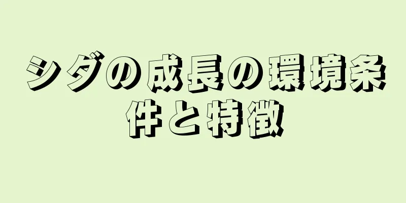 シダの成長の環境条件と特徴