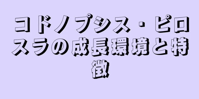 コドノプシス・ピロスラの成長環境と特徴