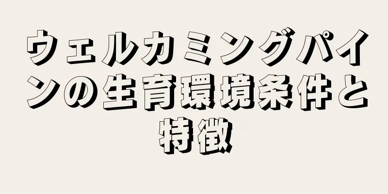 ウェルカミングパインの生育環境条件と特徴