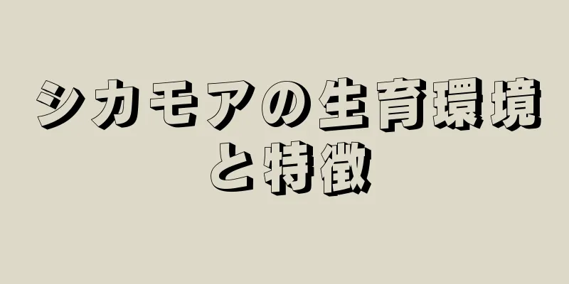 シカモアの生育環境と特徴