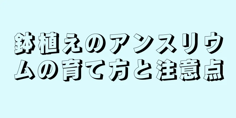 鉢植えのアンスリウムの育て方と注意点