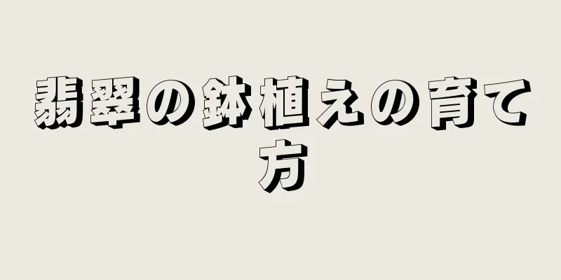 翡翠の鉢植えの育て方