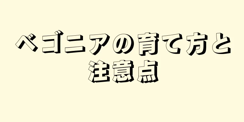 ベゴニアの育て方と注意点