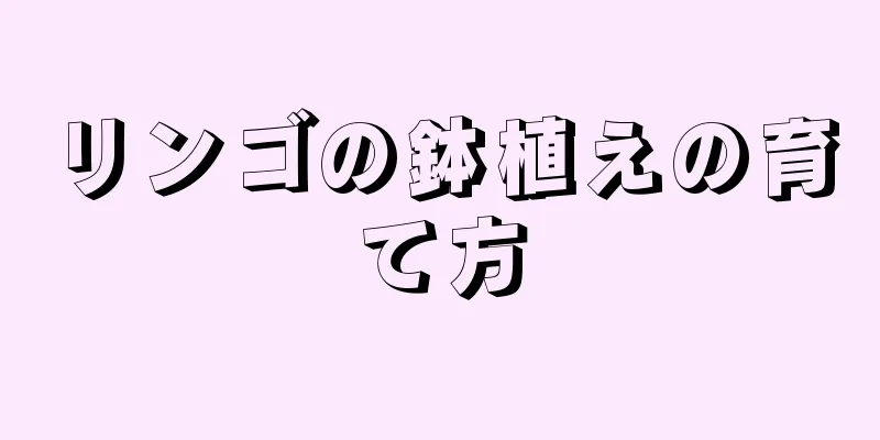 リンゴの鉢植えの育て方