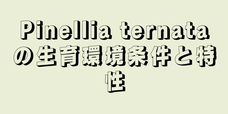 Pinellia ternataの生育環境条件と特性
