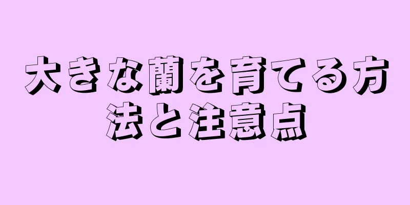大きな蘭を育てる方法と注意点