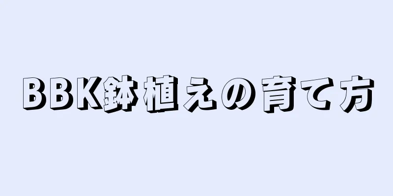 BBK鉢植えの育て方