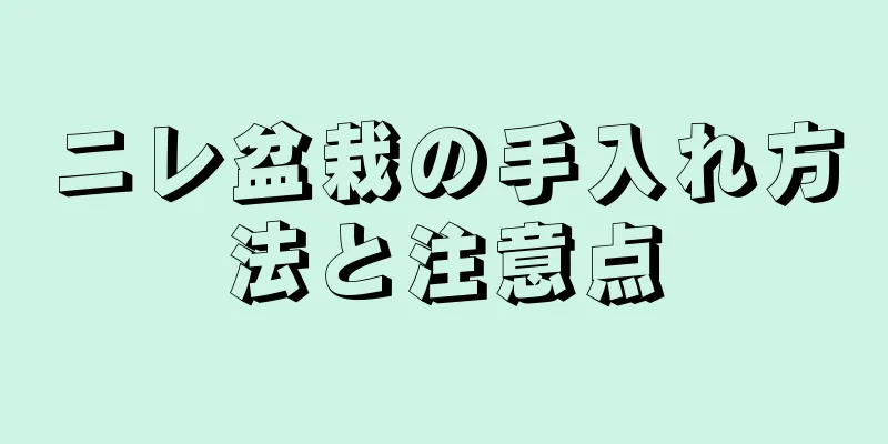 ニレ盆栽の手入れ方法と注意点
