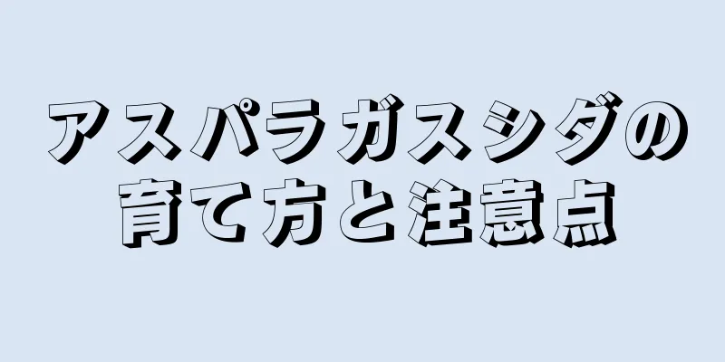 アスパラガスシダの育て方と注意点