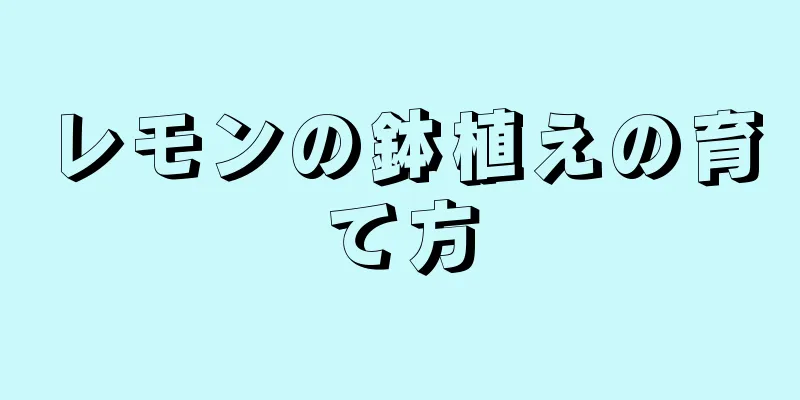レモンの鉢植えの育て方