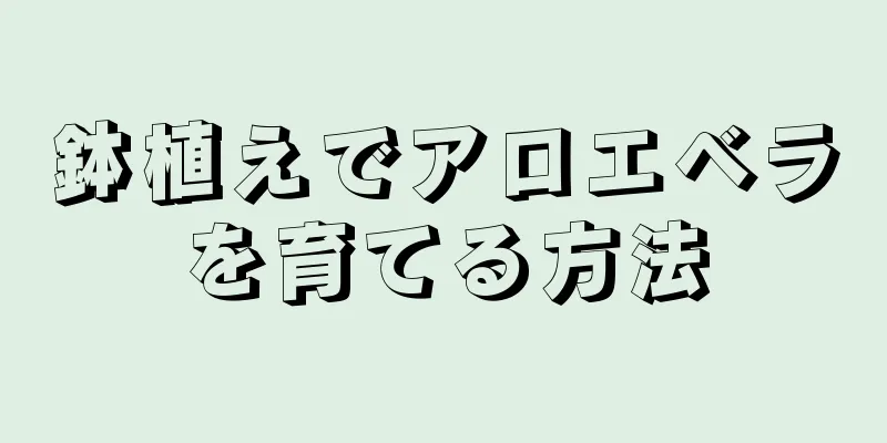 鉢植えでアロエベラを育てる方法
