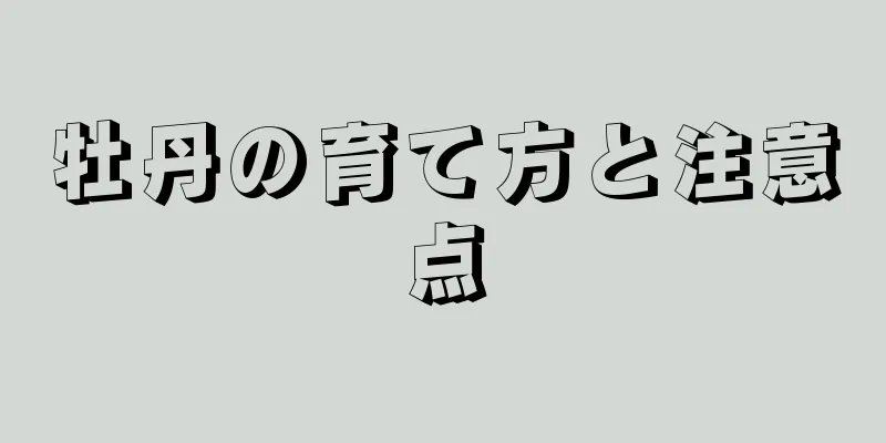 牡丹の育て方と注意点