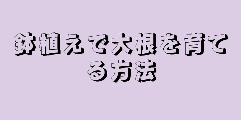 鉢植えで大根を育てる方法