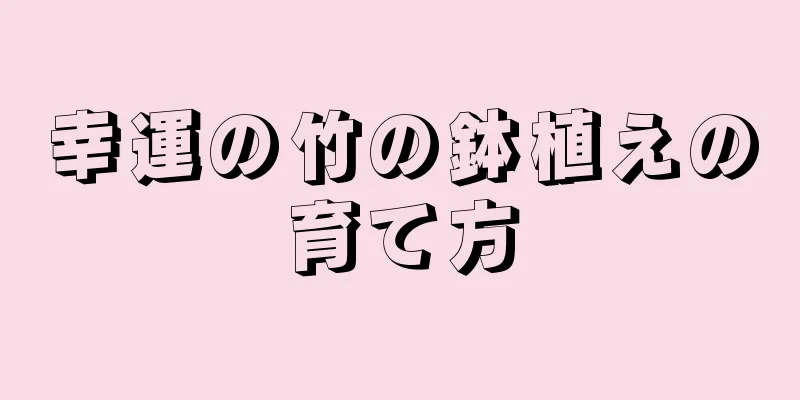 幸運の竹の鉢植えの育て方