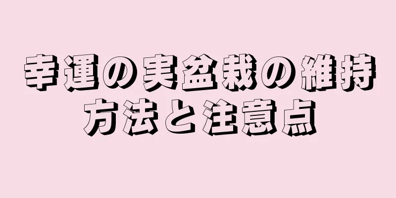 幸運の実盆栽の維持方法と注意点
